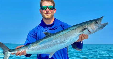 3 Things You Can Do To Catch More Kingfish This Summer