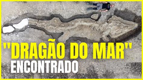 Encontrado Fóssil De Dragão Do Mar De 180 Milhões De Anos Na