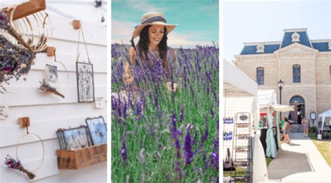 Provence In Texas Blanco Lavender Festival My Curly Adventures