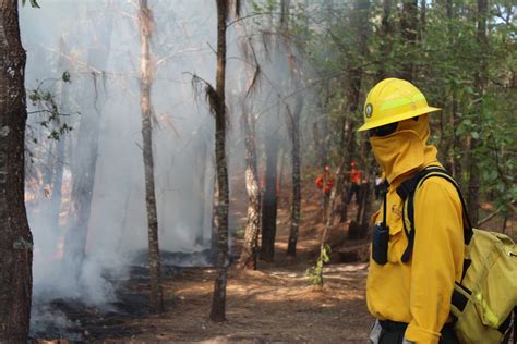 Nos llaman combatientes Comisión Nacional Forestal Gobierno gob mx