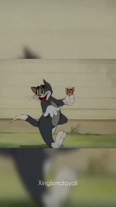 Tom And Jerry 😂😂😂😂 Youtube