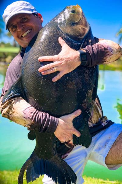 Mapa Da Pesca FishTV Pesque E Pague Taguatinga