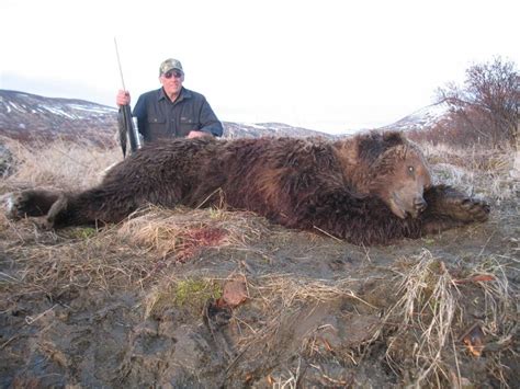 Alaska Brown Bear Hunting Guides | Arctic North Guides