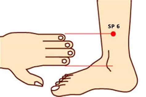 Méridien rate points et cartographie Massage Magnergy