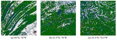 Remote Sensing Free Full Text High Resolution Forest Mapping From Tandem X Interferometric