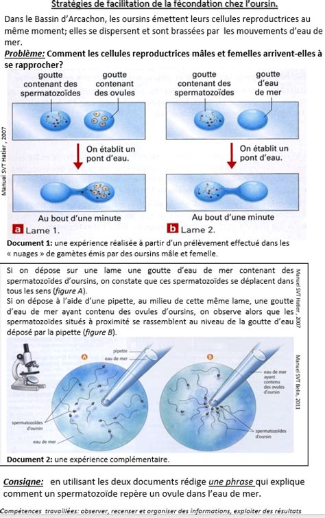 CHAPITRE 3 Reproduction des êtres vivants MON COURS DE SVT