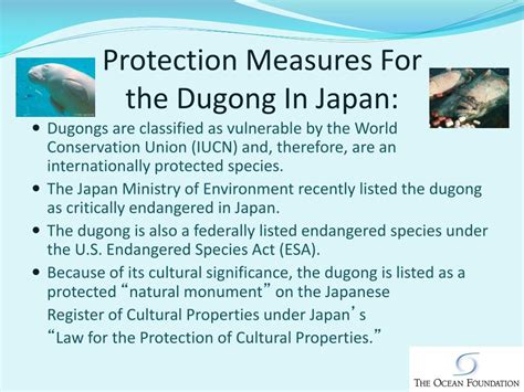 PPT The Okinawa Dugong Application Of Section 402 Of The National