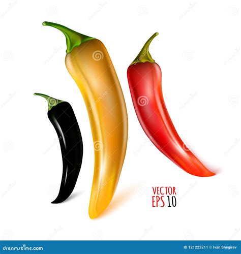 Amber Peppers Stock Illustrations 2 Amber Peppers Stock Illustrations Vectors And Clipart