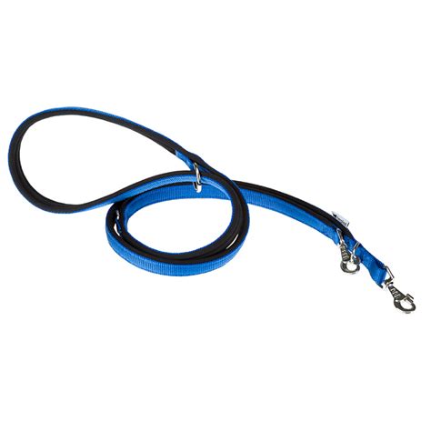 Correa Nylon Daytona Ga Azul Para Perros Ferplast