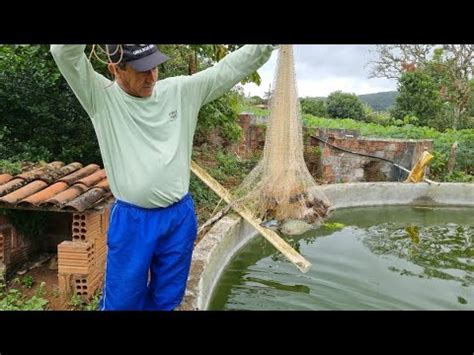 Misterio Dos Peixes Tambaqui O Que Ser Que Aconteceu Youtube