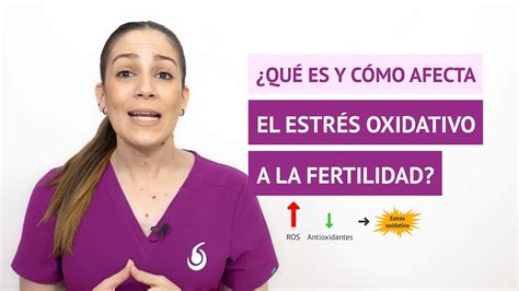 Qu Es El Estr S Oxidativo Y C Mo Afecta A La Fertilidad Masculina