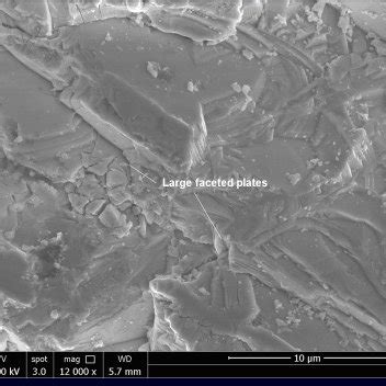 The Microstructure Of Fe Znse Crystals At Kv Small Crystallites In