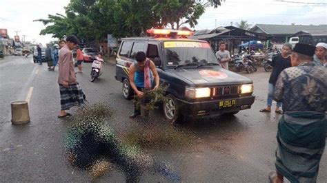 Adu Kuat Motor Matik Di Kabupaten Banjar Kalsel Dua Pengendara Tewas