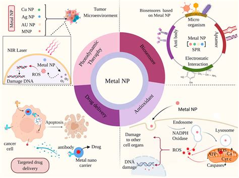 Frontiers Metallic Nanoparticles For The Modulation Of Tumor