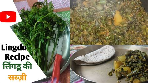 लिंगड लुंगडू की सब्जी Lingdu Ki Sabji Fiddlehead Fern Recipe