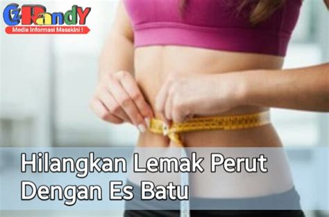 Cara Menghilangkan Lemak Perut Memakai Es Batu Belajar Belajar