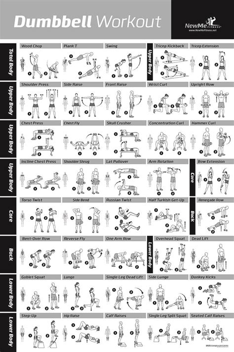 Free Printable Dumbbell Workout Routine