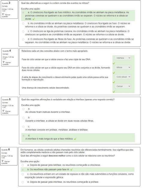 Prova Question Rio Ufrgs Biologia Celular Ciclo Celular E Mitose