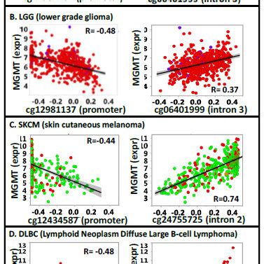 Relationship Between MGMT Expression And Methylation At Specific CpG