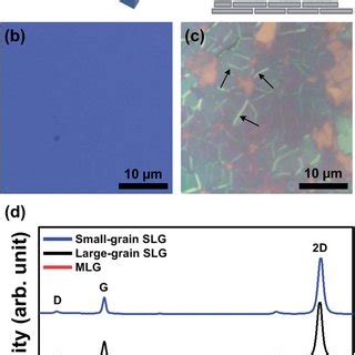 A Schematics Of Cu Graphene Barrier Si Or Sio Substrate Structures