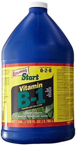 Best B1 Vitamin For Plants - Cree Home