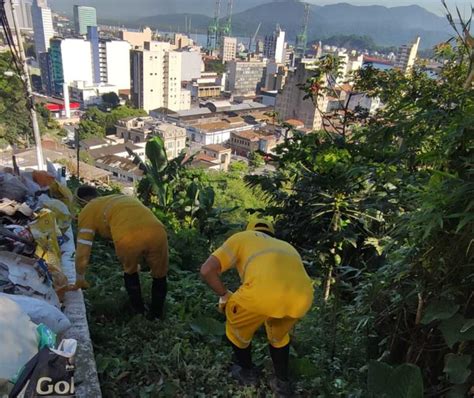 Limpeza retira mais de 3 toneladas de resíduos da encosta do Monte