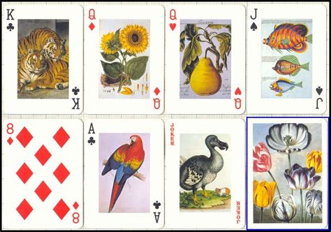 R Somerville Playing Cards Playingcardsales Art Of Nature