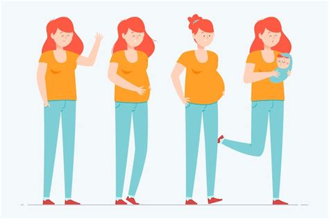 Free Vector Pregnancy Stages Illustration