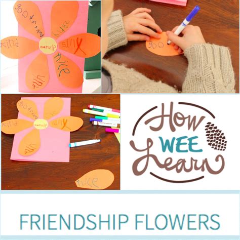 what flower represents friendship 7