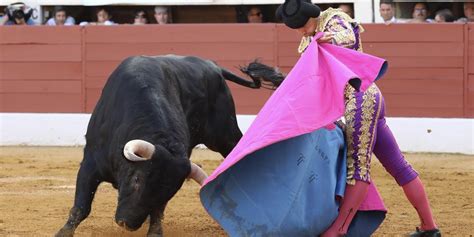 Orthez trois toreros de haut niveau le 28 juillet à Orthez La