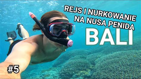 Jadowita Ryba Czy Nurkowanie Na Bali Jest Bezpieczne Youtube