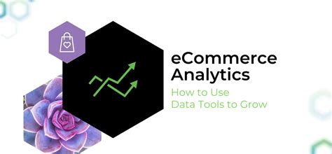 Ecommerce Analytics How To Use Data Tools To Grow Apiary Digital