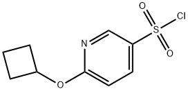 Pyridinesulfonyl Chloride Cyclobutyloxy