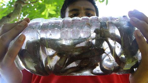 Easy Bottle Fish Trap WOW Creative Boy Catch Fish With Plastic