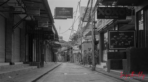 Poppies Lane