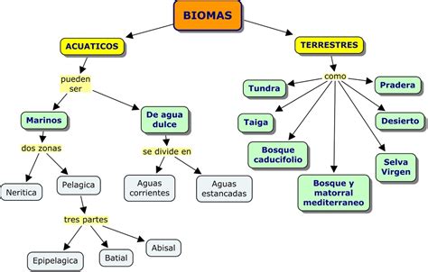 Biomas Bachillerato Biolog A Y Ciencias De La Tierra Y Del Medio 71040