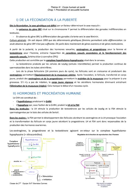 Cours Chapitre Repro Thème Iii Corps Humain Et Santé Chap 1