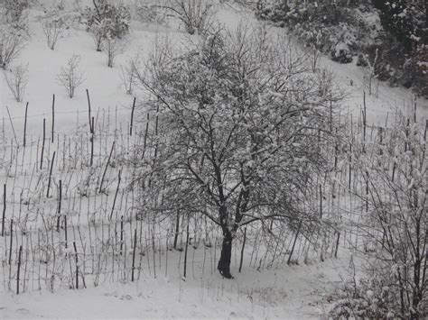 Nevicata Al Bricco Visconti Massimo Druetto Flickr