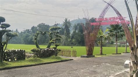 Liburan Awal Tahun 2023 // Desa Wisata Tanjungsari Umbulsari Jember ...