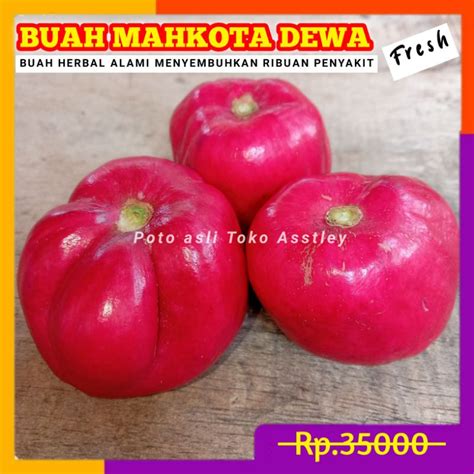 Jual Buah Mahkota Dewa Segar Kg Shopee Indonesia