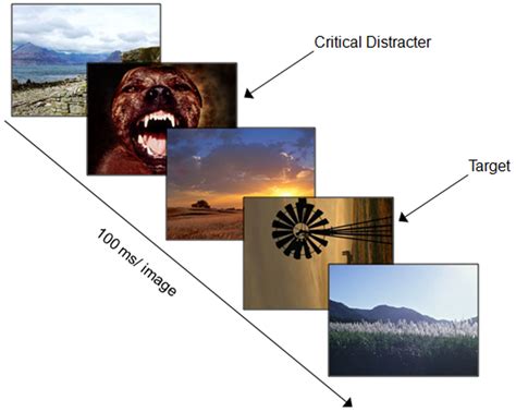 The Trial Procedure For The Emotional Attentional Blink Paradigm Note