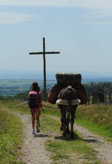 Chemin De Compostelle Avec Un Ane Rando Gr65 Avec Un Ane