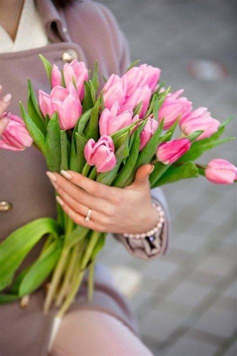 Create Meme Flowers Tulips Pink Tulips Bouquet Tulips Pictures