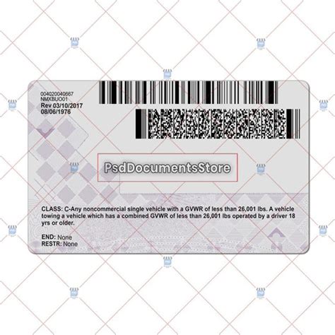 North Carolina Driver License Template Psd Documents Store