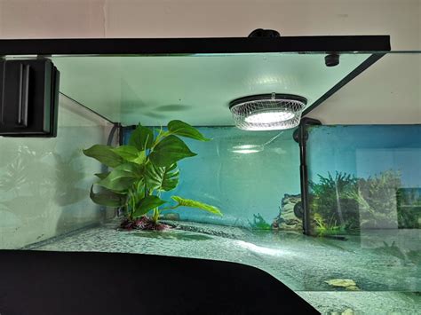 Aquarium Pour Tortue Partie Laquaterrarium Magicmanu