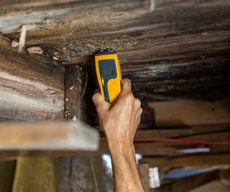 Moisture Damage - Hazardaus Experts In Asbestos, Environment Testing ...