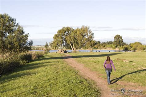 Dams Of Durbanville Cape Town Daily Photo