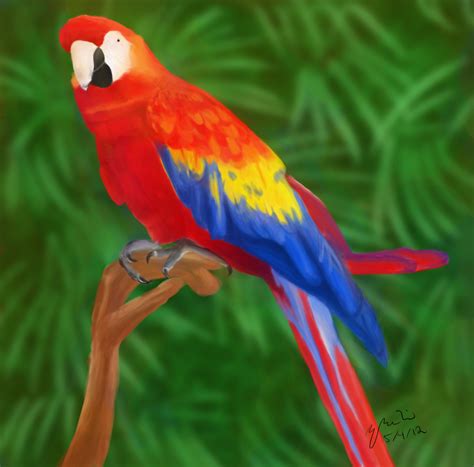 Rainbow Parrot by BunnyFroofroo on DeviantArt