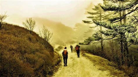 Sandakphu Trek: The Untold Way to Reconnect with Yourself!