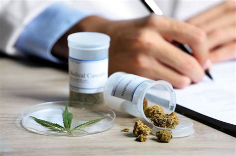 Medicinale Wiet Alles Over Cannabis Voor Medicinaal Gebruik